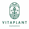 VITA PLANT NURSERY (FRUIT & NUT)