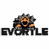 EVORTLE MACHINERY - MOBILE CRUSHER AND SCREENING, SORTING PLANTS